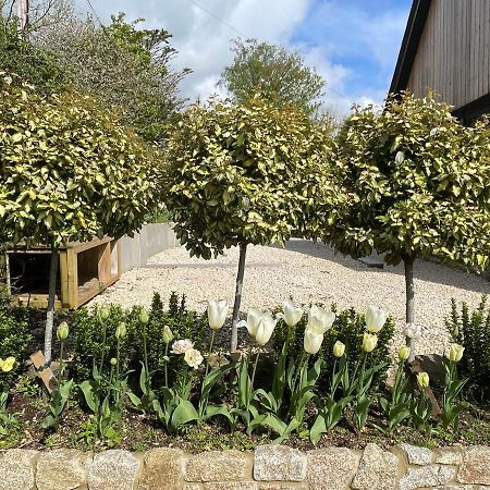 Cedar House Vendégház Ilsington Kültér fotó