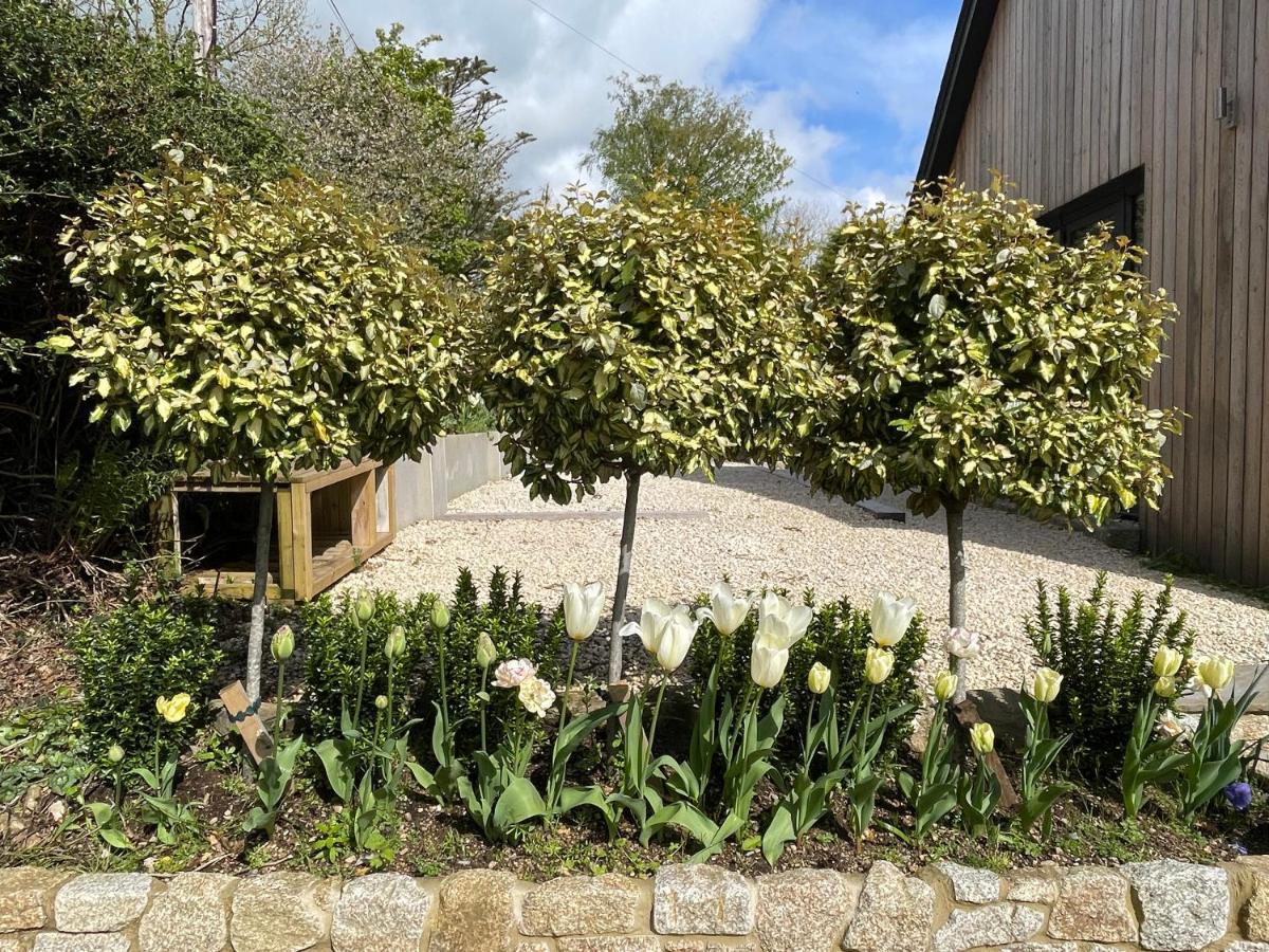 Cedar House Vendégház Ilsington Kültér fotó